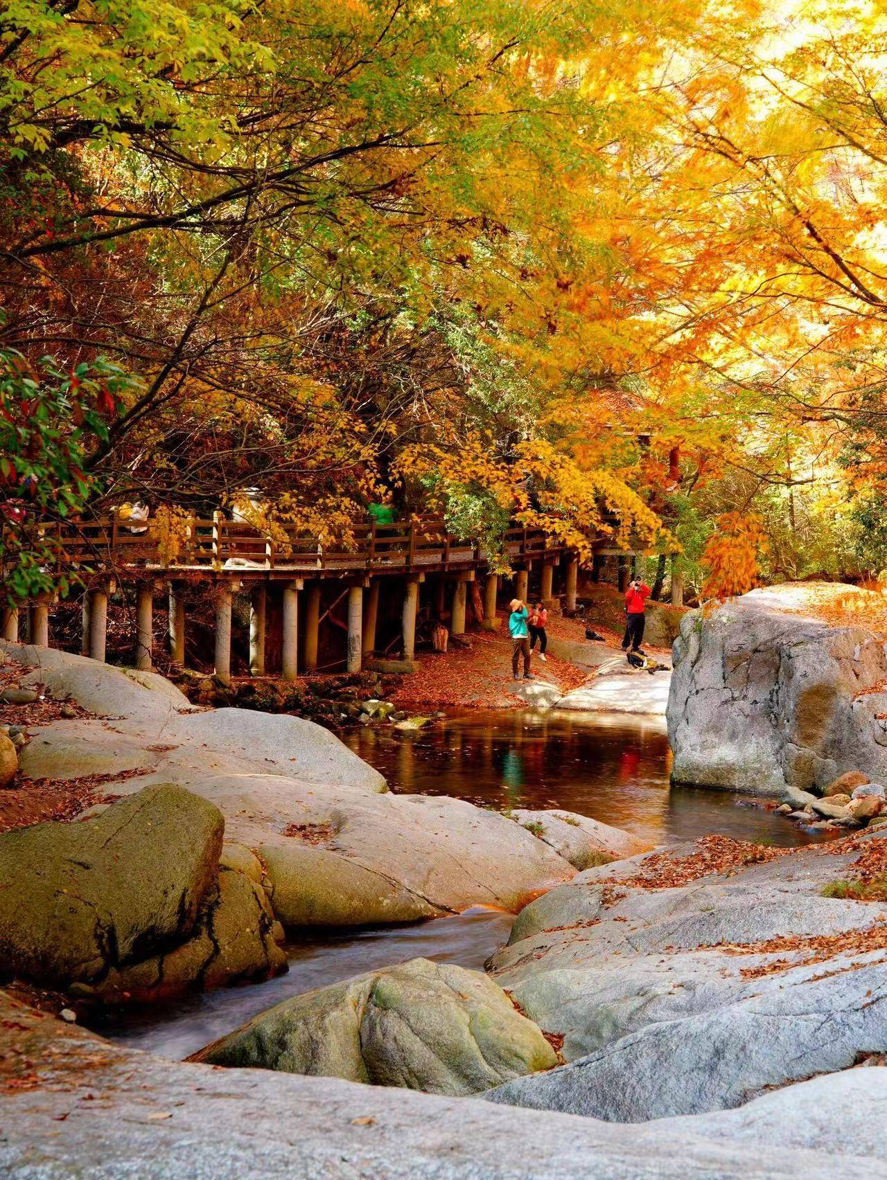 四川广元到成都旅游团报价 ,路线 费用 亲身经历