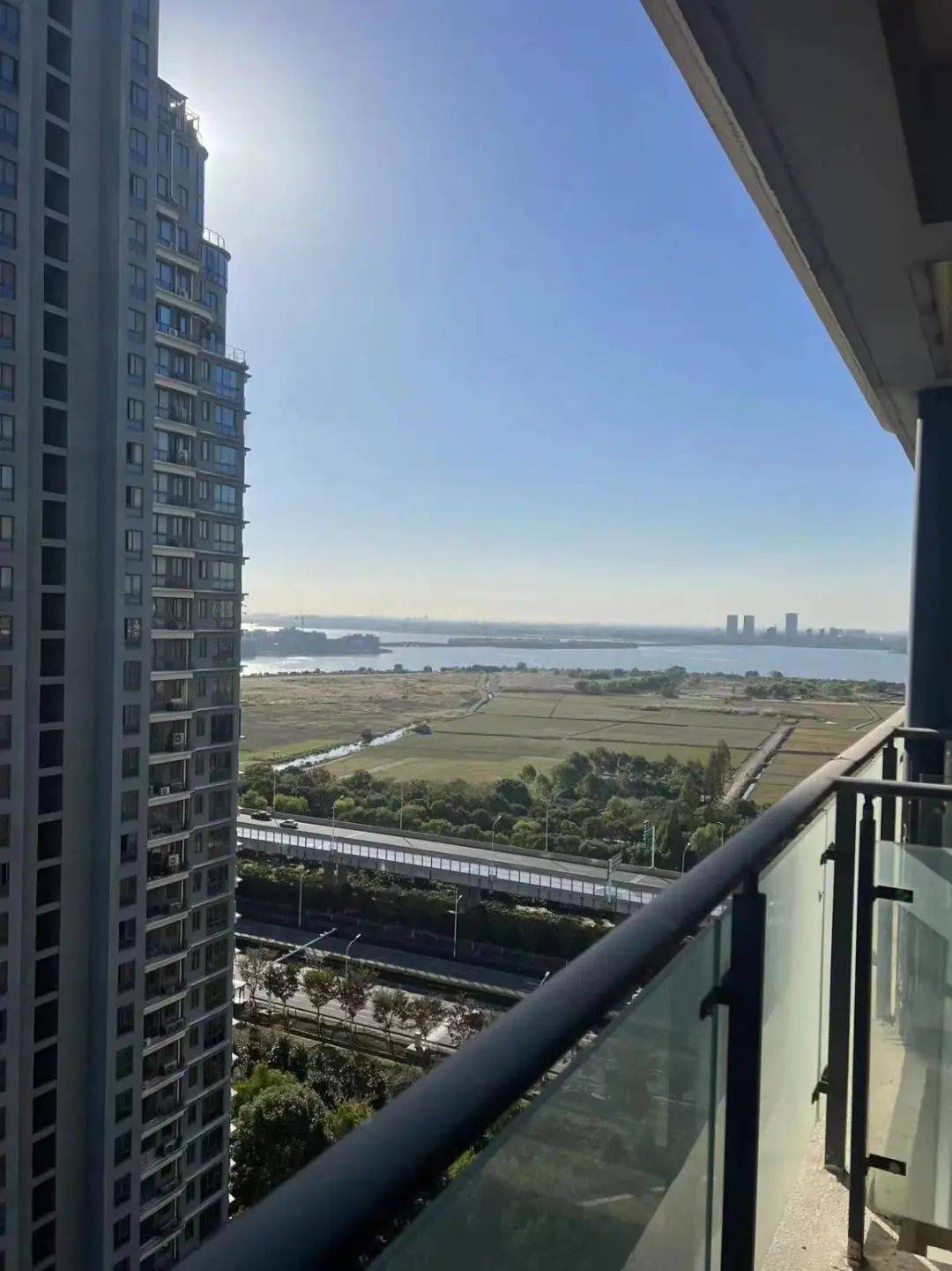 粉丝卖房丨单价约8700元/㎡毛坯现房 一批城南房源合集_户型图_楼层