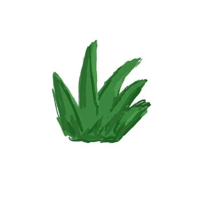 植物头像 绿色图片