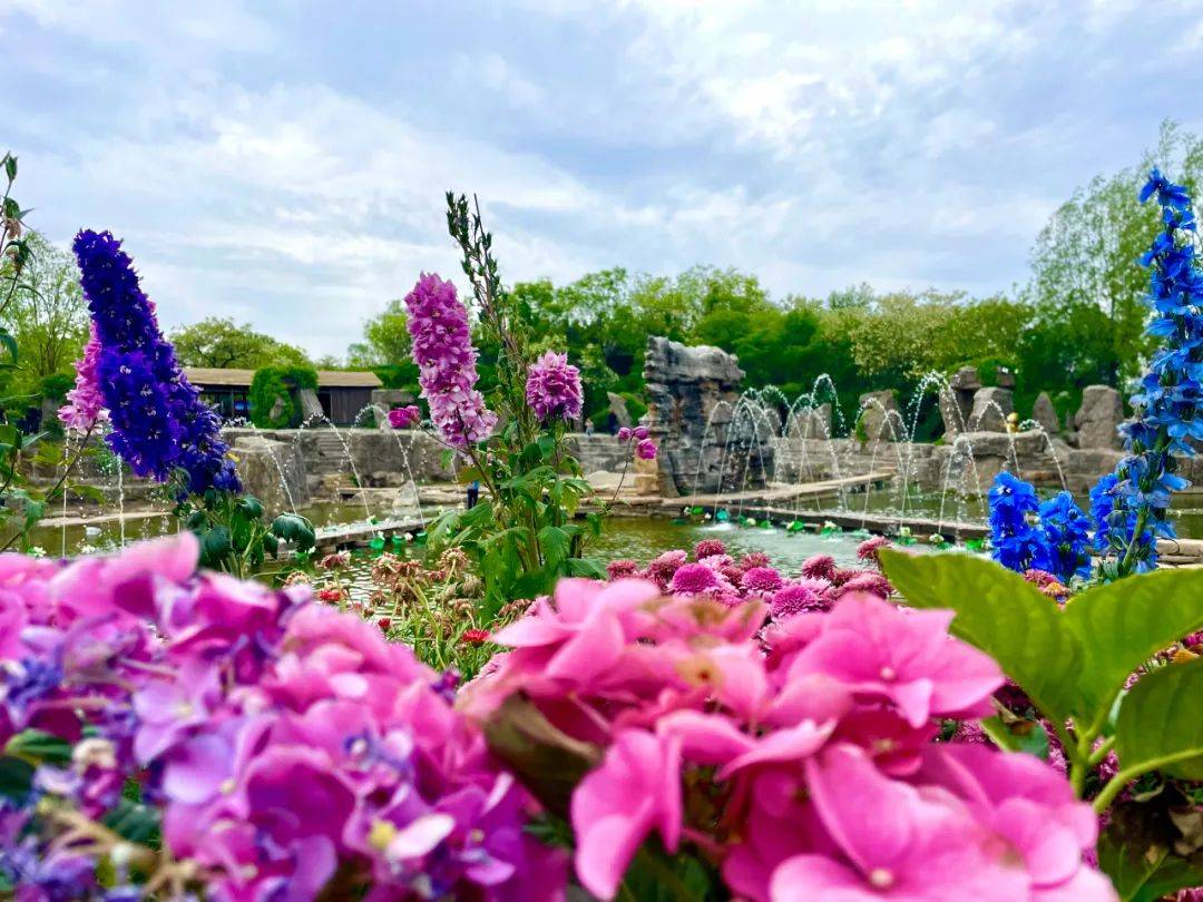 双节同庆,为爱免单_母亲_景区_莒县