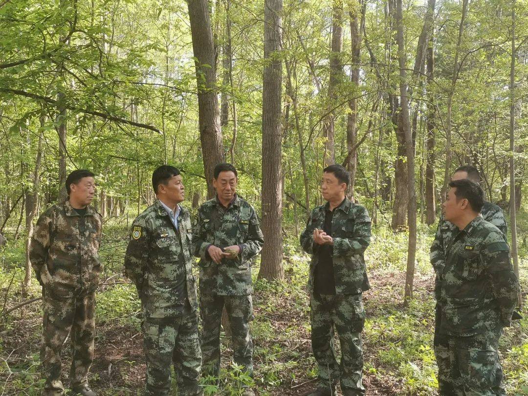 【生态立企】韩建军深入山上林场督导检查春季造林工作