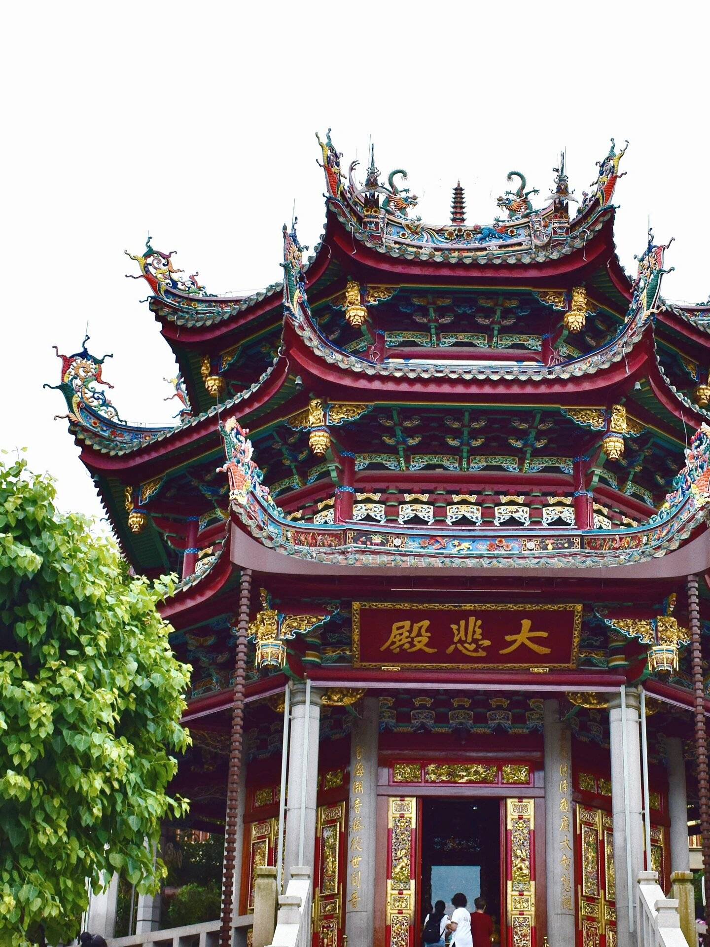 厦门旅游第一日游景点 ,带父母版,这篇攻略超详细