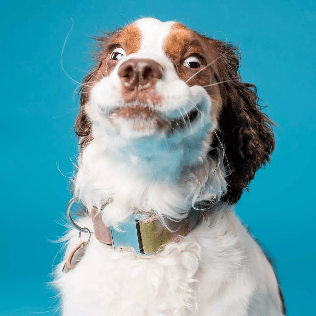 exm?还有这样的或者这样的啊哈?