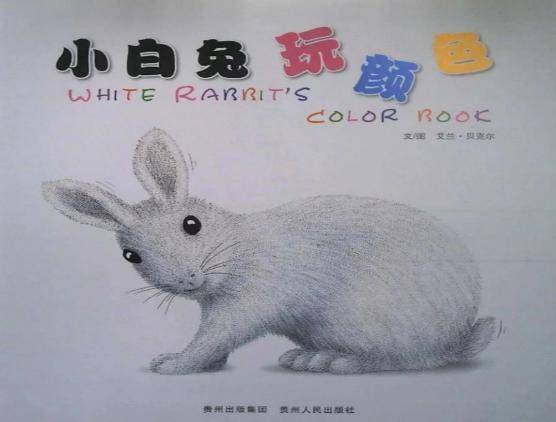 爱运动的兔子绘本ppt图片