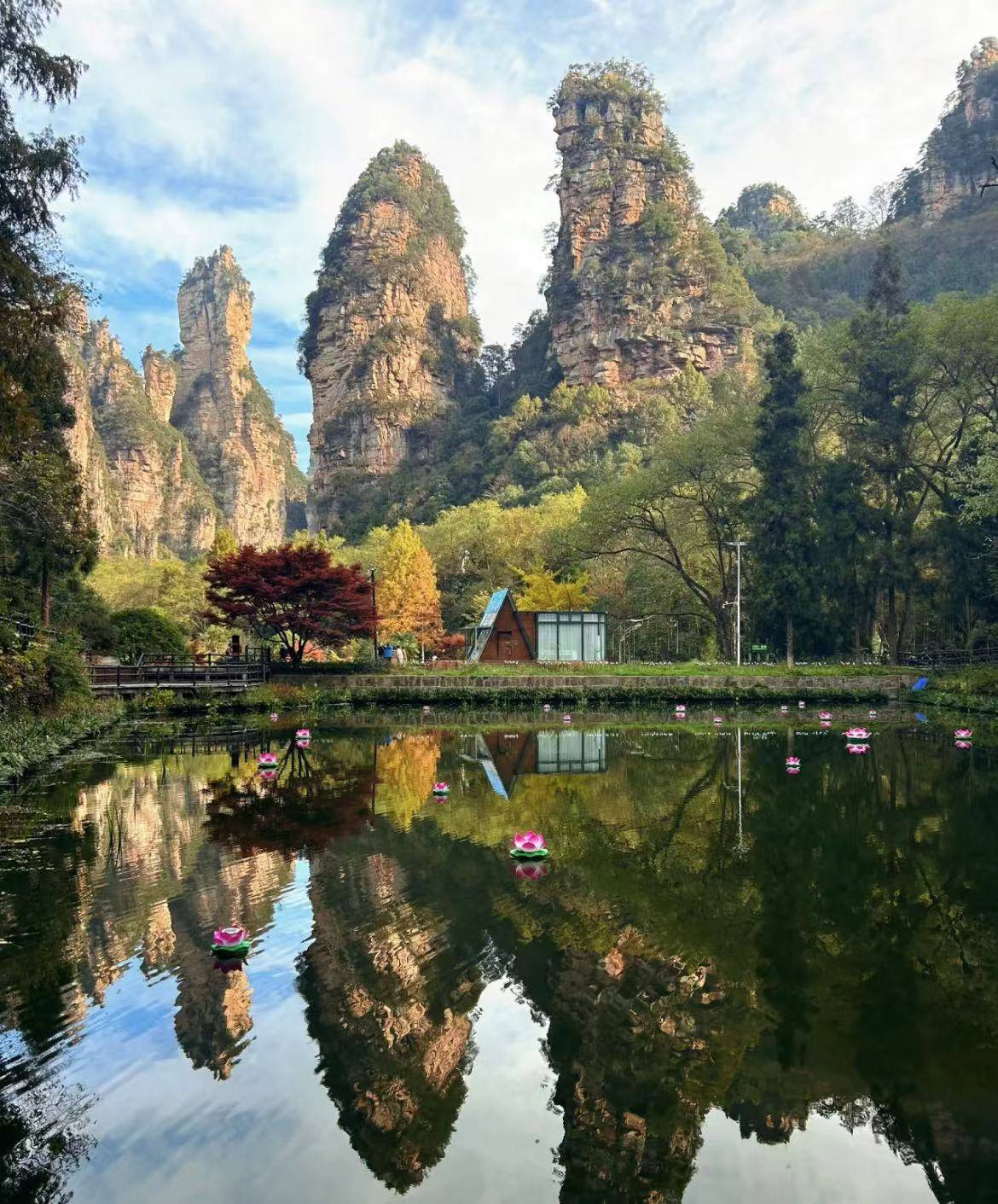 天 4 晚的跟团游,人均花费 1000 元左右,费用包含吃饭,住宿,景点门票