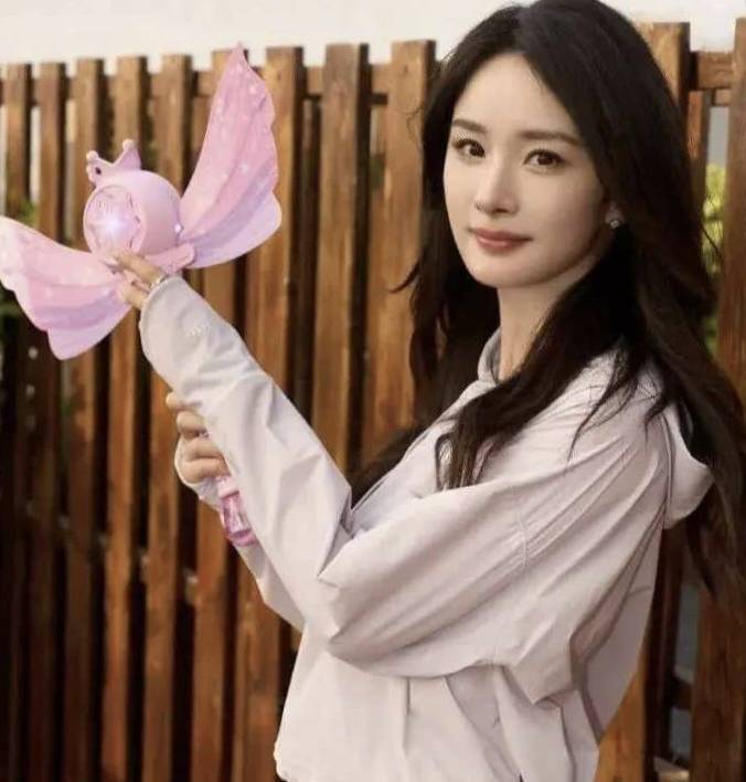 杨幂香港探望小糯米夺抚养权?刘恺威赚不到钱,抚养费高达上亿