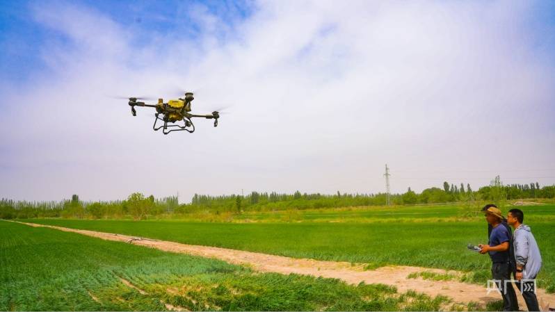 高质量发展"新"速度丨墨玉县以科技手段提高小麦田间管理效率_无人机