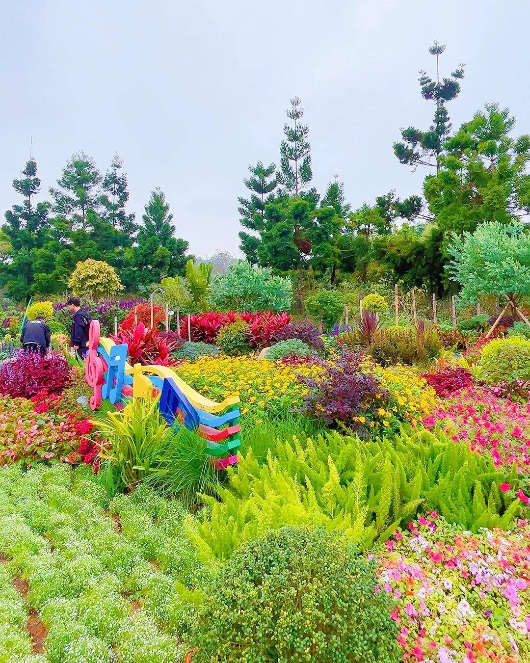 福建厦门六日游 ,看完让你旅行更完美