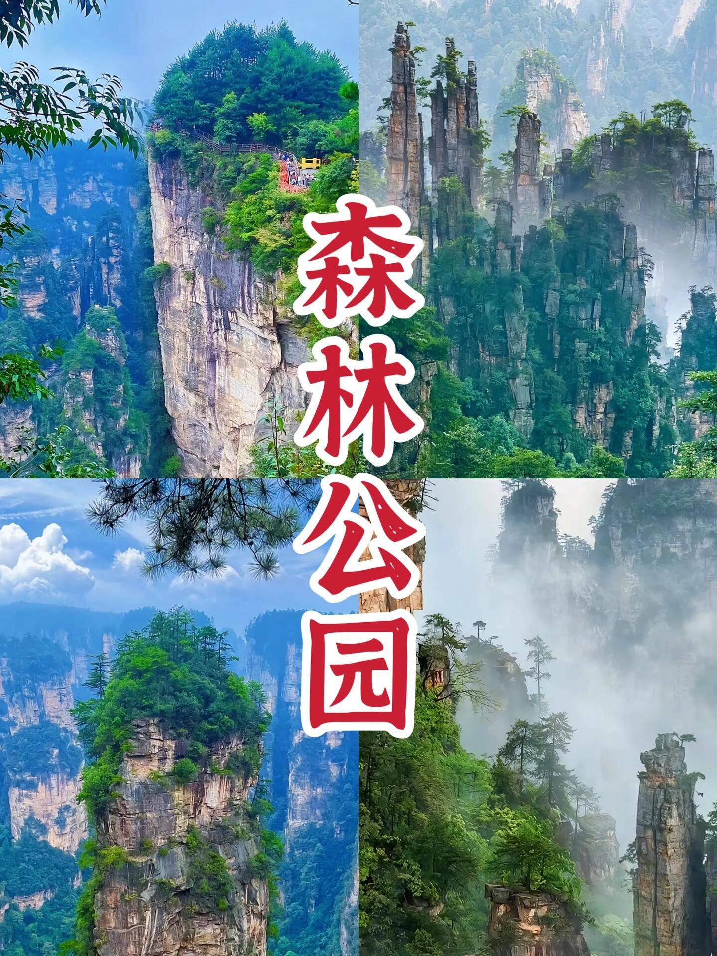 湖南张家界二日游多少钱 ,必去的景点,实用攻略赶紧收藏