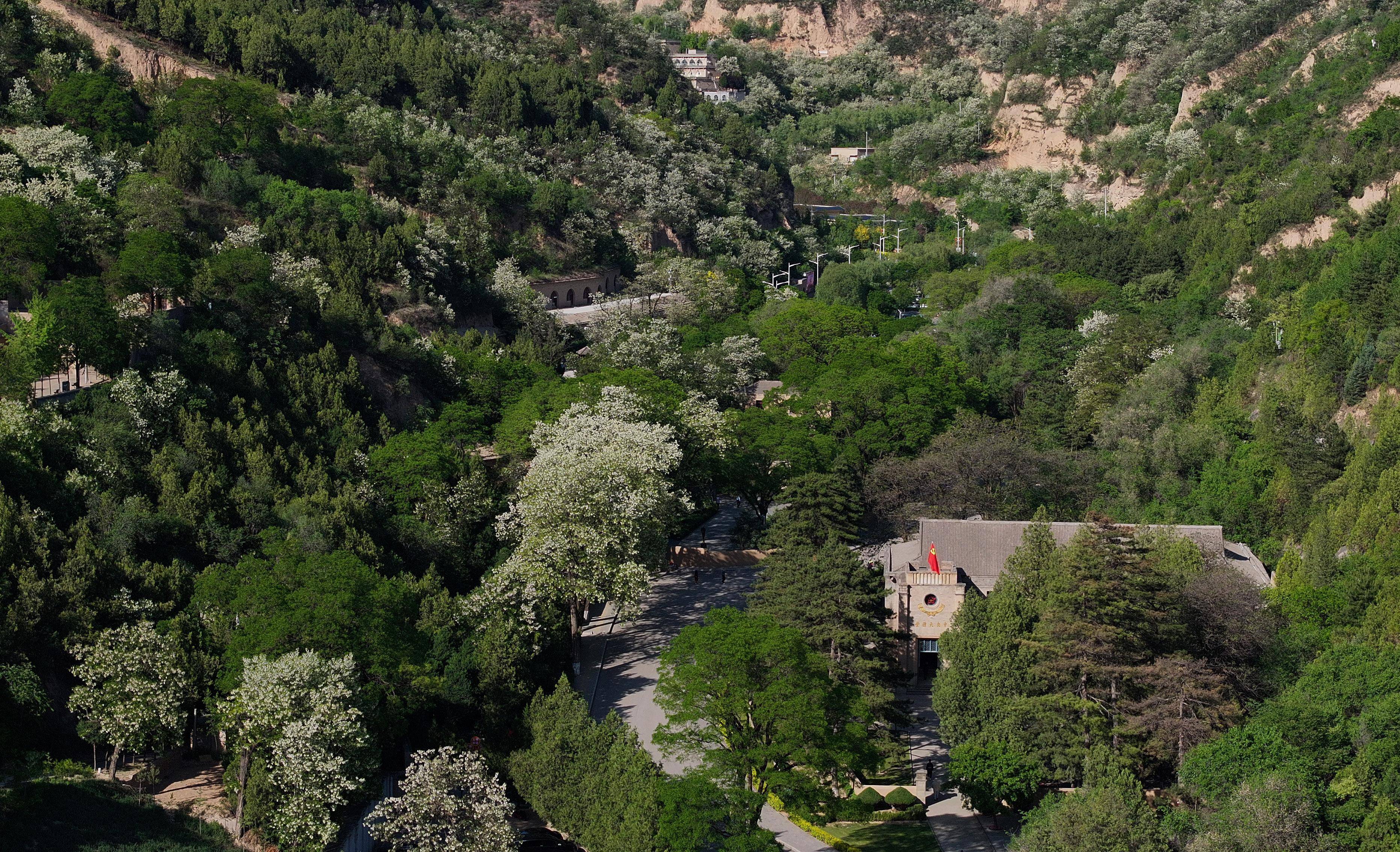 延安杨家岭风景图片图片