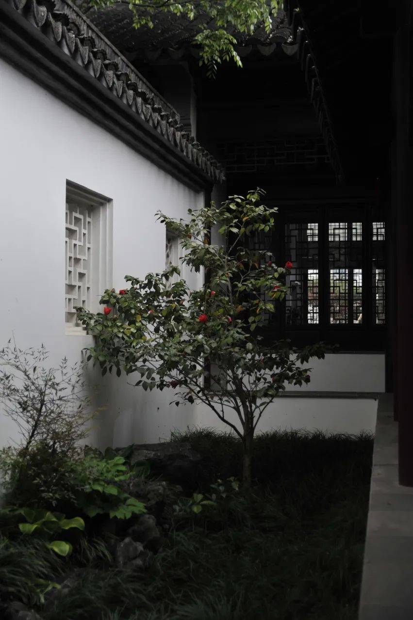 获密歇根安娜堡,布朗大学,纽约大学,南洋理工大学等青