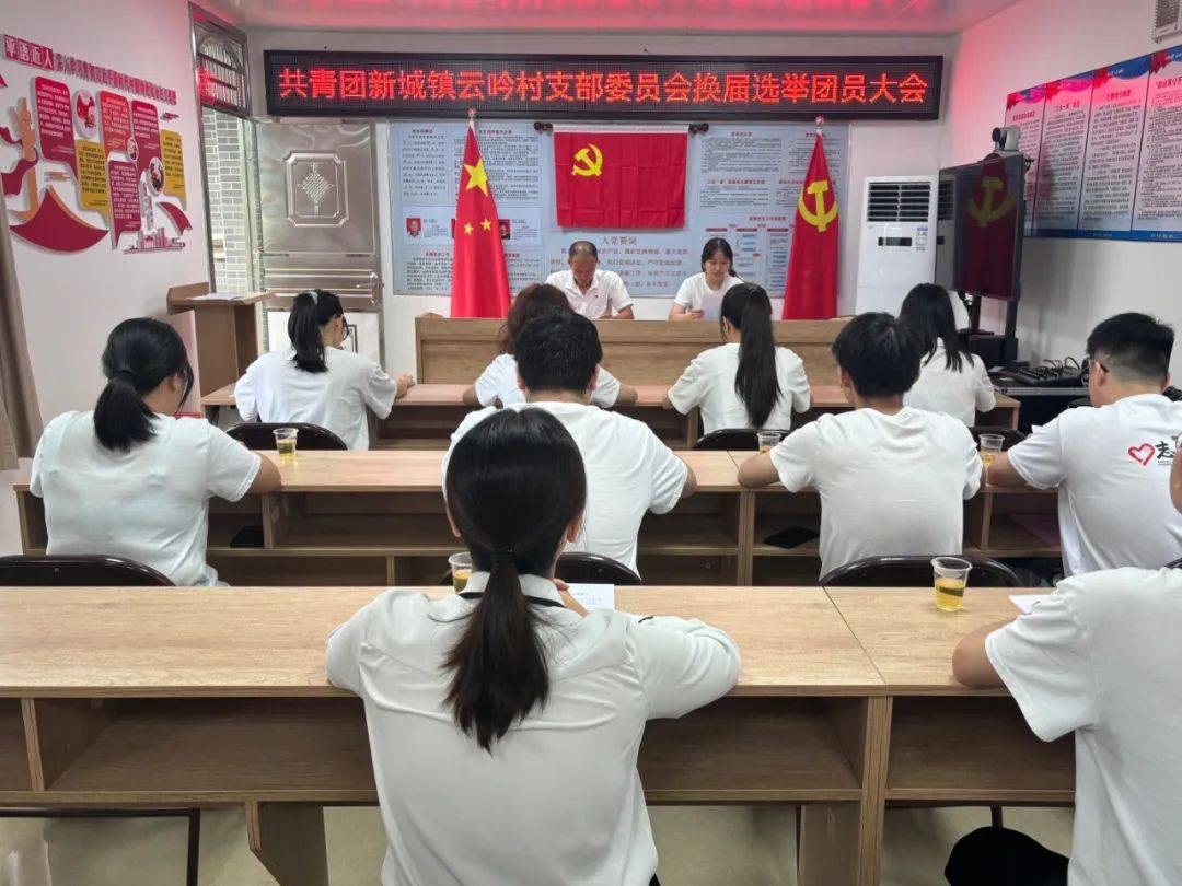 新城镇云吟村团支部圆满完成换届选举工作!