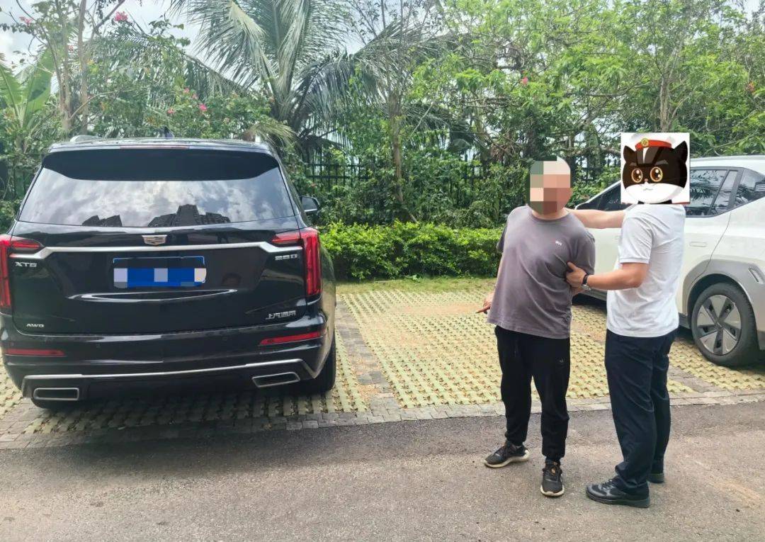 小区停车场砸车窗盗窃,海南警方抓获1人