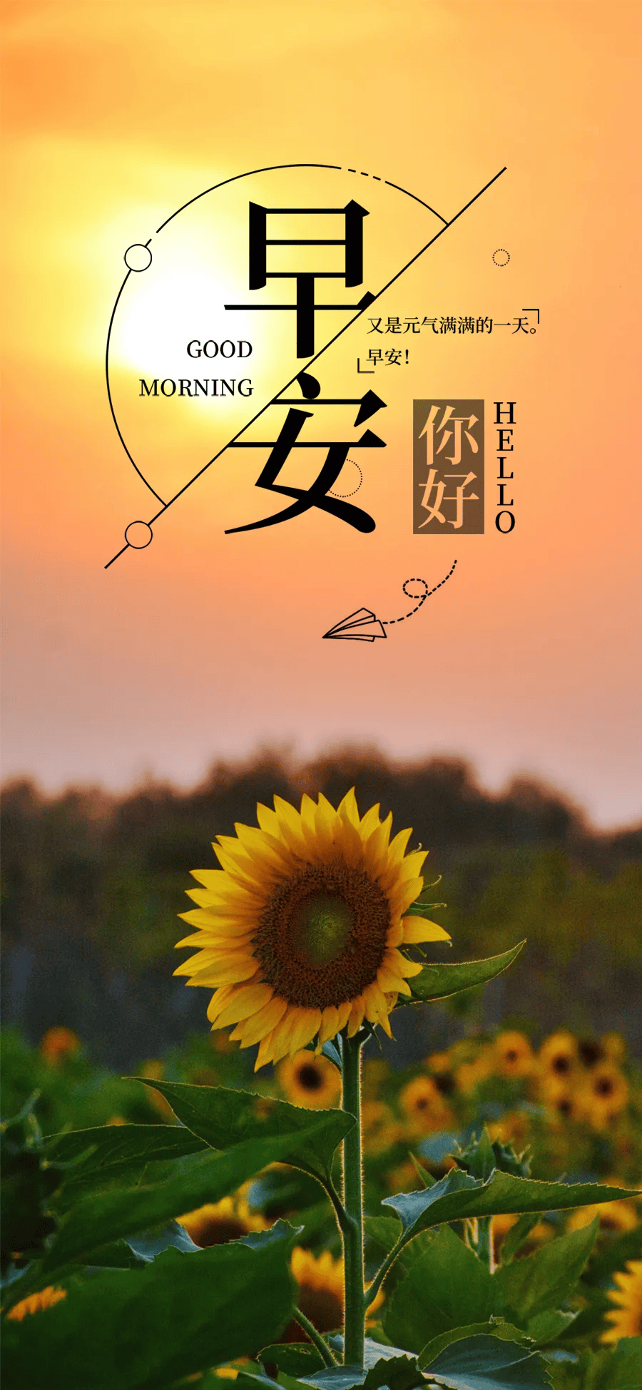 5月10日正能量早安语录:有路,就大胆的去走,有梦,就大胆的飞翔