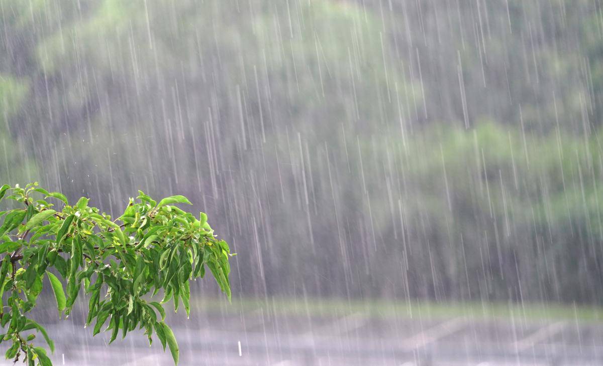 暴雨红色预警