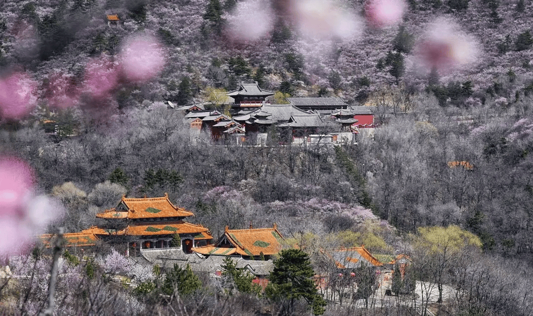 钟灵毓秀之地 | 寿阳方山国家森林公园_传承_李通玄_大自然