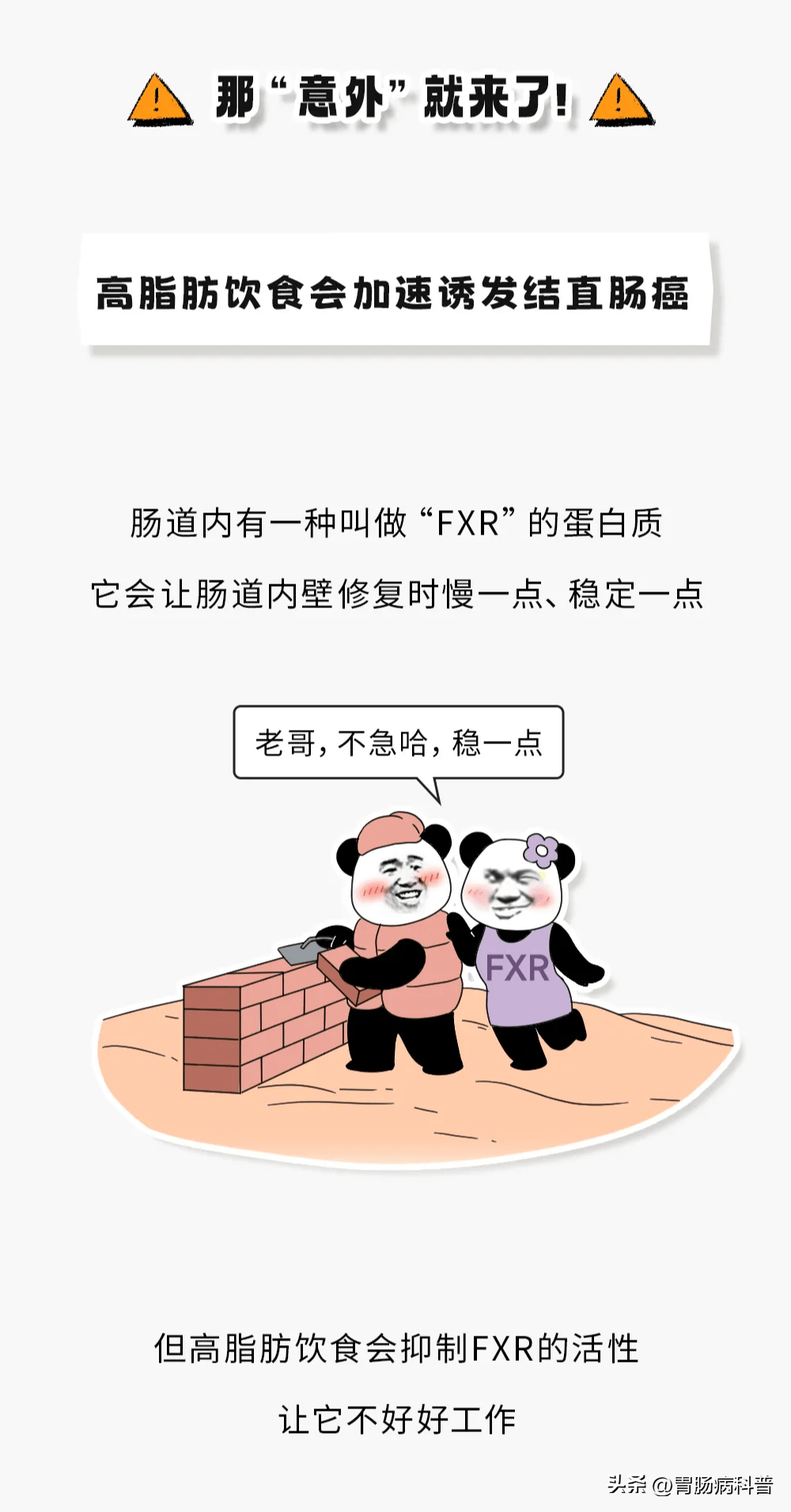 1000_1912竖版 竖屏