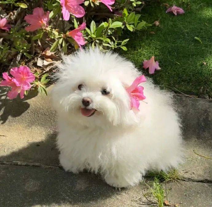 头像 | 拍一拍,新鲜的头像来了! 676767