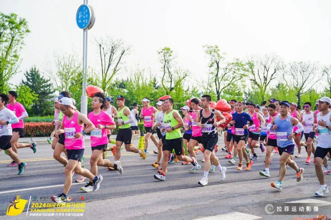 马轶旻 | 我与杨马,写在故事开始之前_杨凌_马拉松_赛事