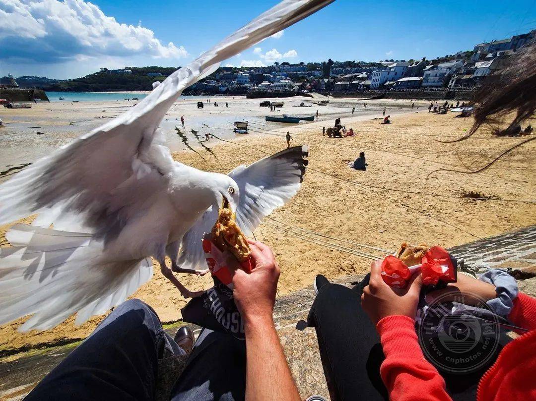 揭晓 | 2024年手机摄影大赛获奖作品(中)