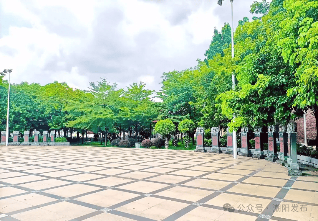潮阳13个示范点_公园_种植_树木