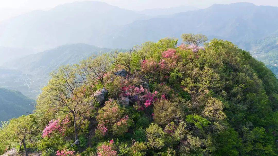 春游江淮请您来丨桐城唐湾镇:泛螺杜鹃映霞明
