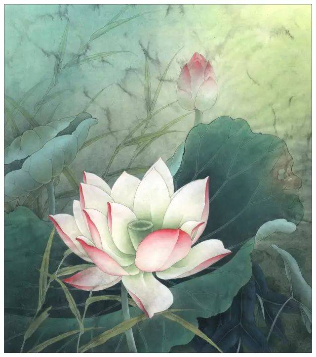 一学就会画工笔《粉荷清幽》图