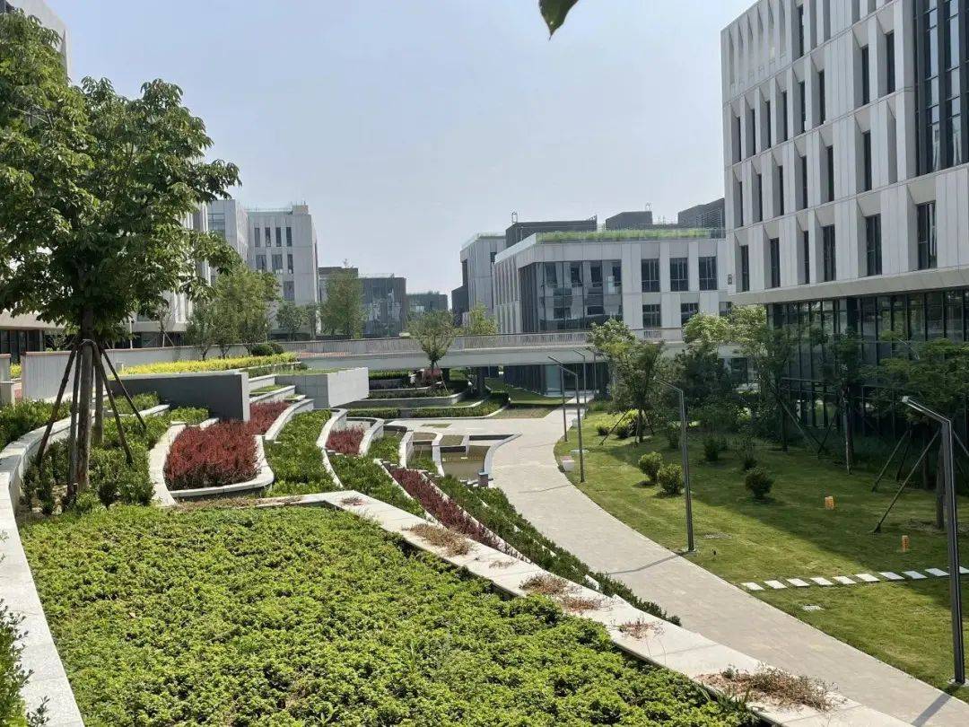 67用好天上水,到明年底海绵城市达标率将达40%