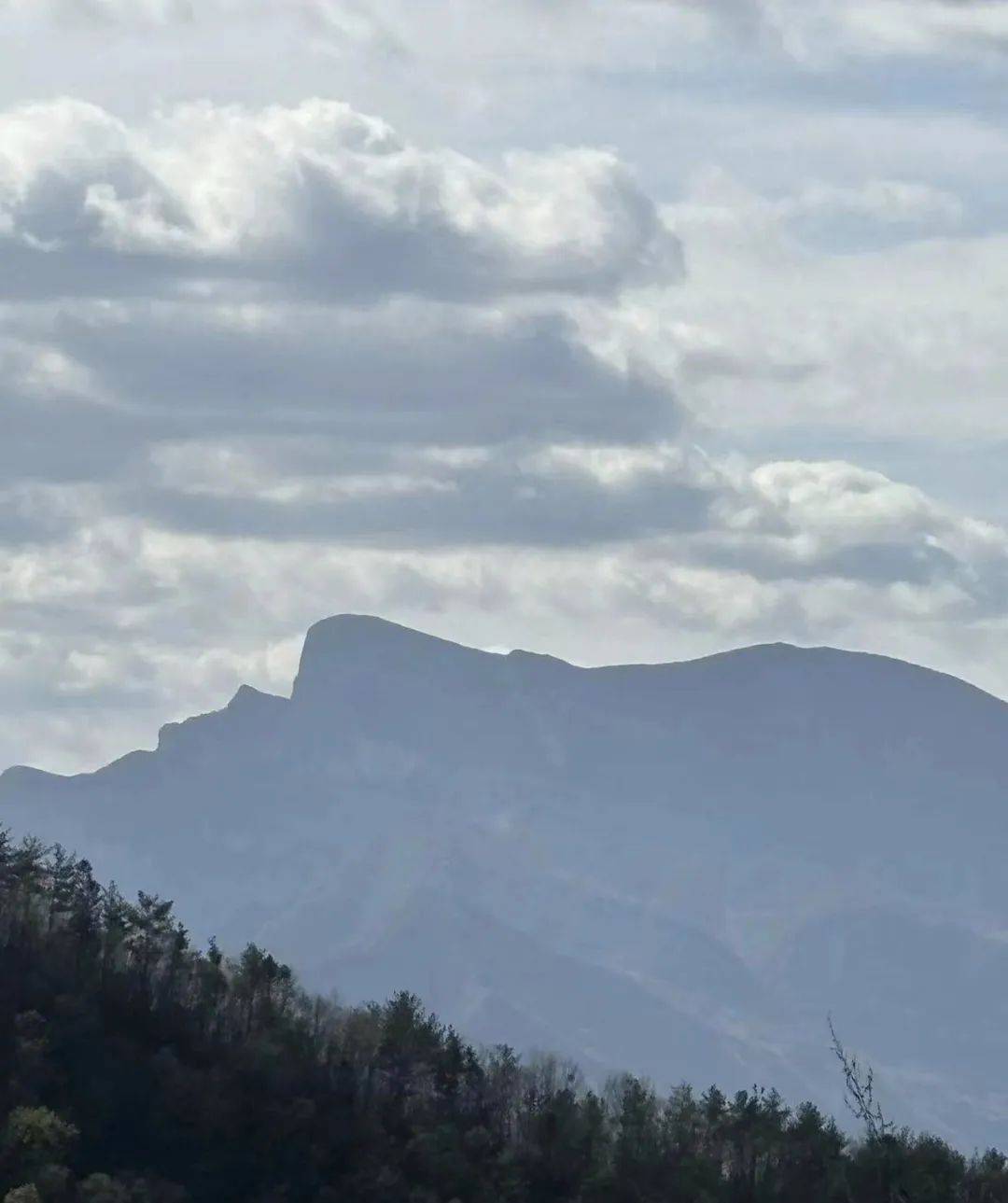 一次颠覆执念的茶山之行