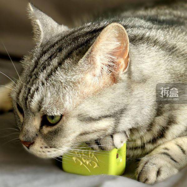 所乐工作室 发财麻将 苹果 可爱q版麻将水果 潮玩手办摆件