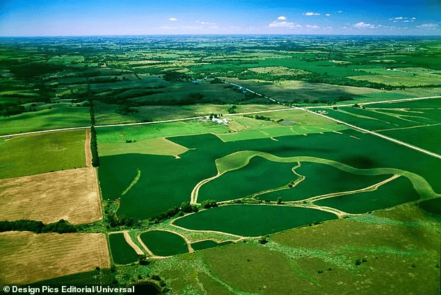 大量迁移!这个州为何成为美国大城市居民新避风港?