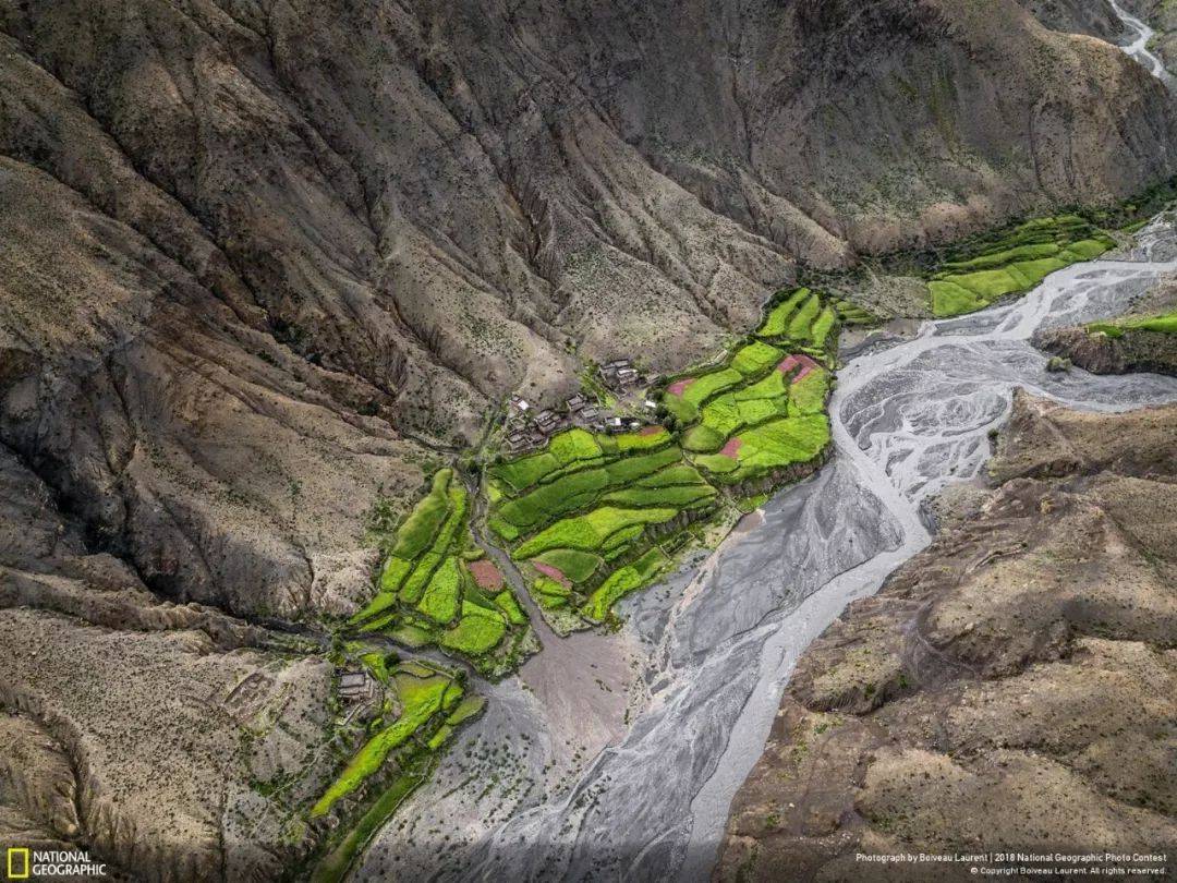 这些照片为什么能拿到国家地理摄影大奖?