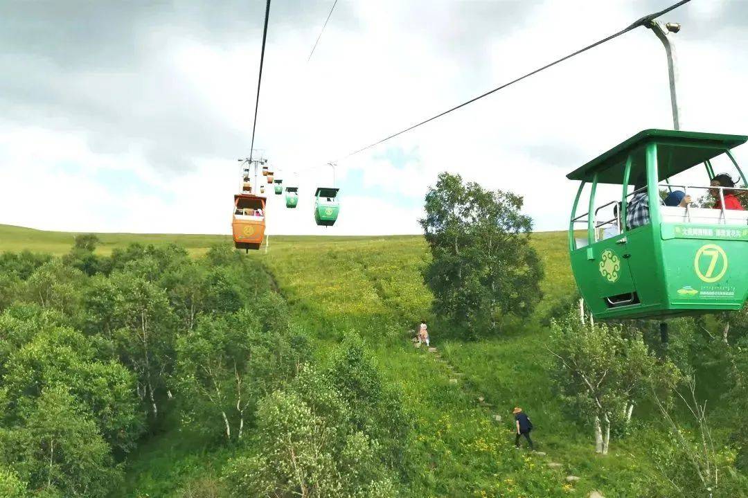 新华研学|【内蒙古草原沙漠行】2024夏令营·内蒙6日亲子_黄花沟_活动