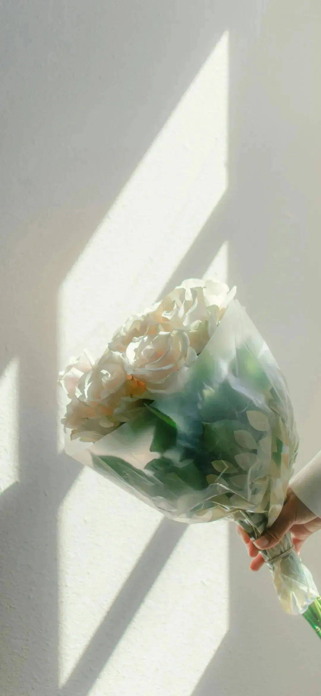 壁纸 |ins风超水心浪漫壁纸