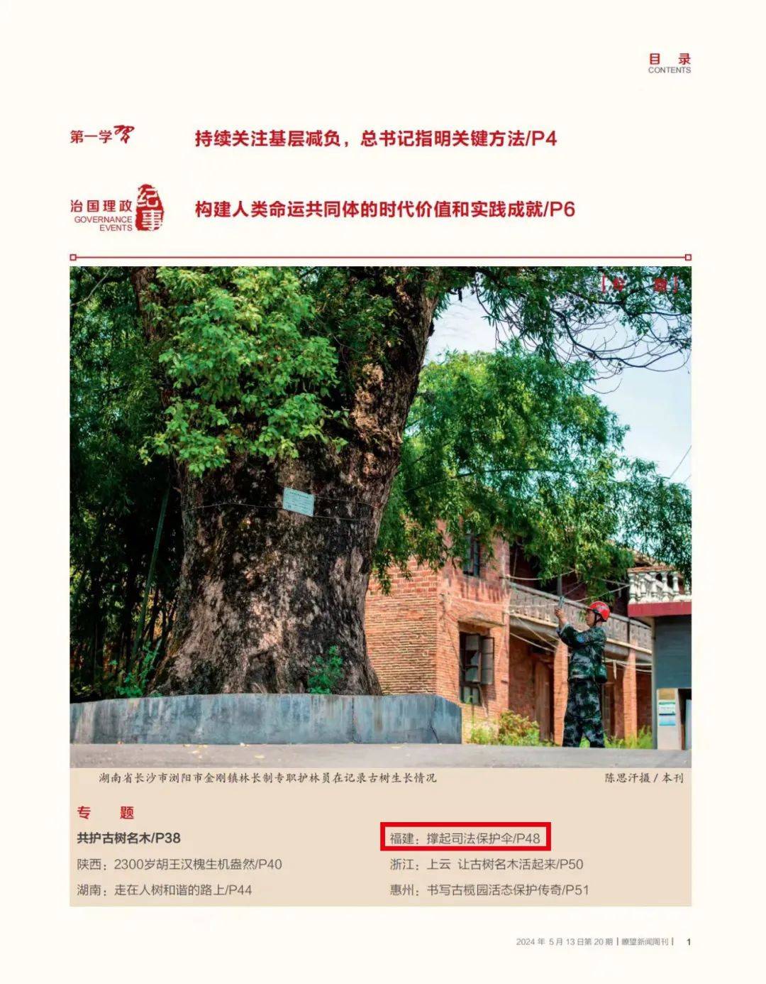 周刊|共护古树名木,福建撑起司法保护伞_永泰县_古树群_建瓯市