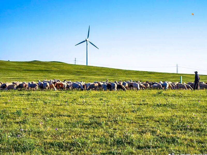 端午3天|又见61辉腾锡勒|一张照片引起的冲动の火山草原-辉腾锡勒