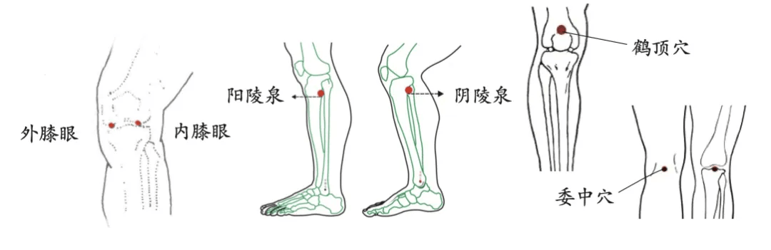 久坐也伤膝盖