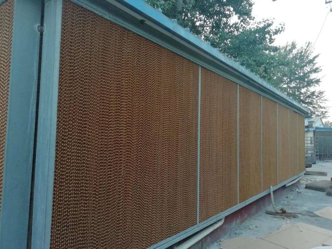 关于鸡舍湿帘的使用,您知道多少?