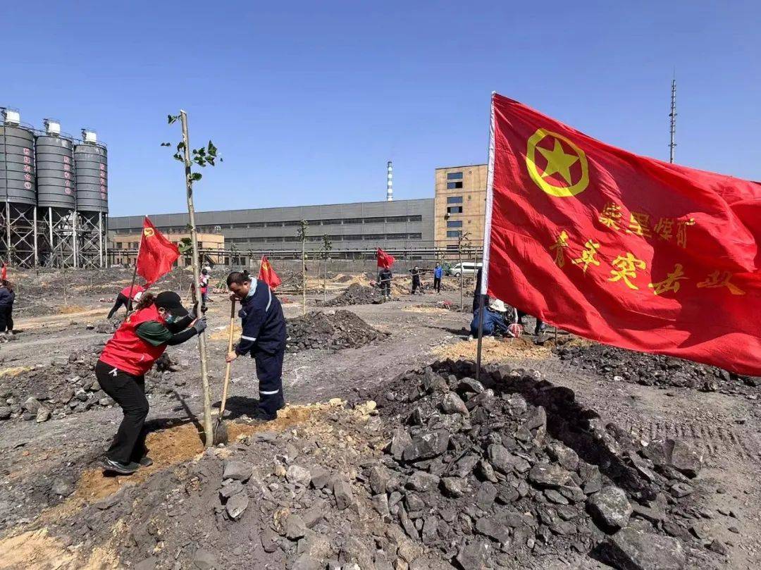 黑色土地添新绿,共绘生态新画卷|柴里煤矿开展突击队活动