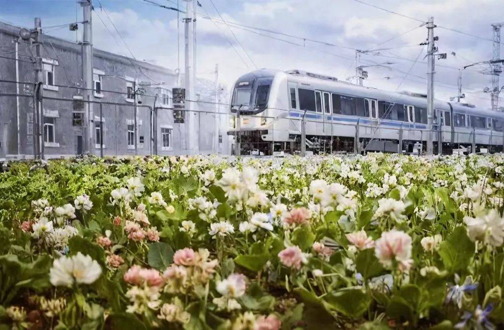 地铁分享丨当西安地铁遇上"粘土"世界