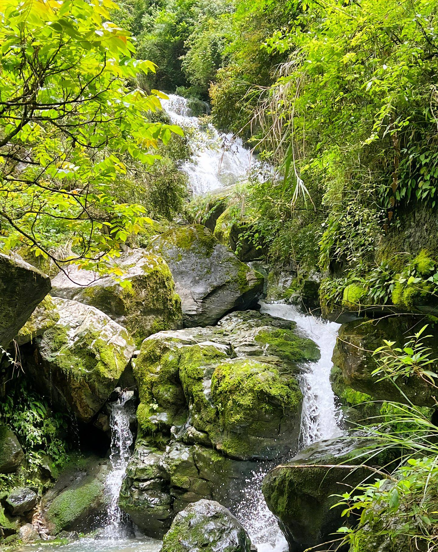 高邮去重庆旅游报团价格,团费多少 ,景点精华打卡路线分享_旅行_行程_