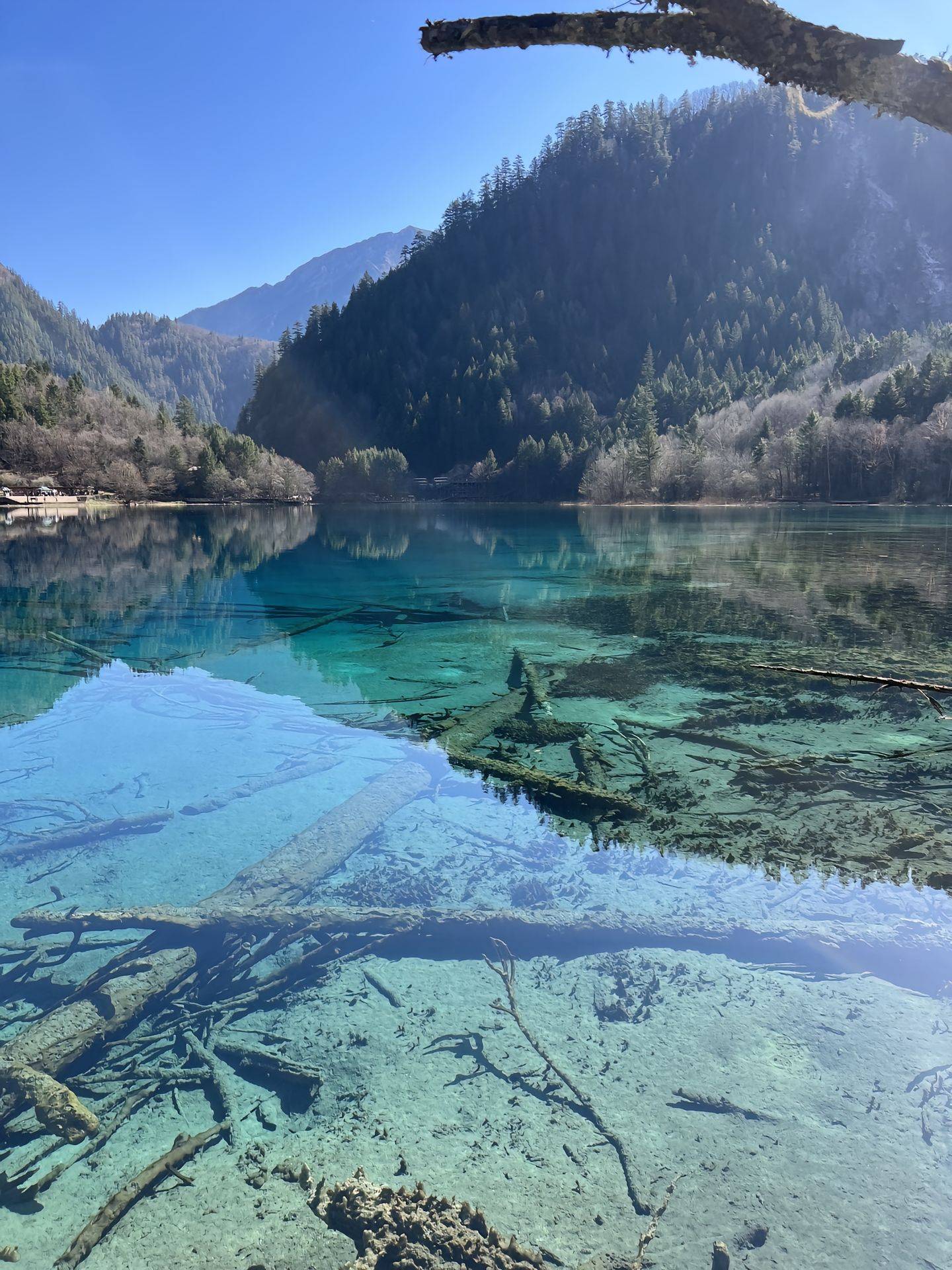 凭祥至四川旅游攻略,需要多少钱 ,5天4晚带你游遍热门景点