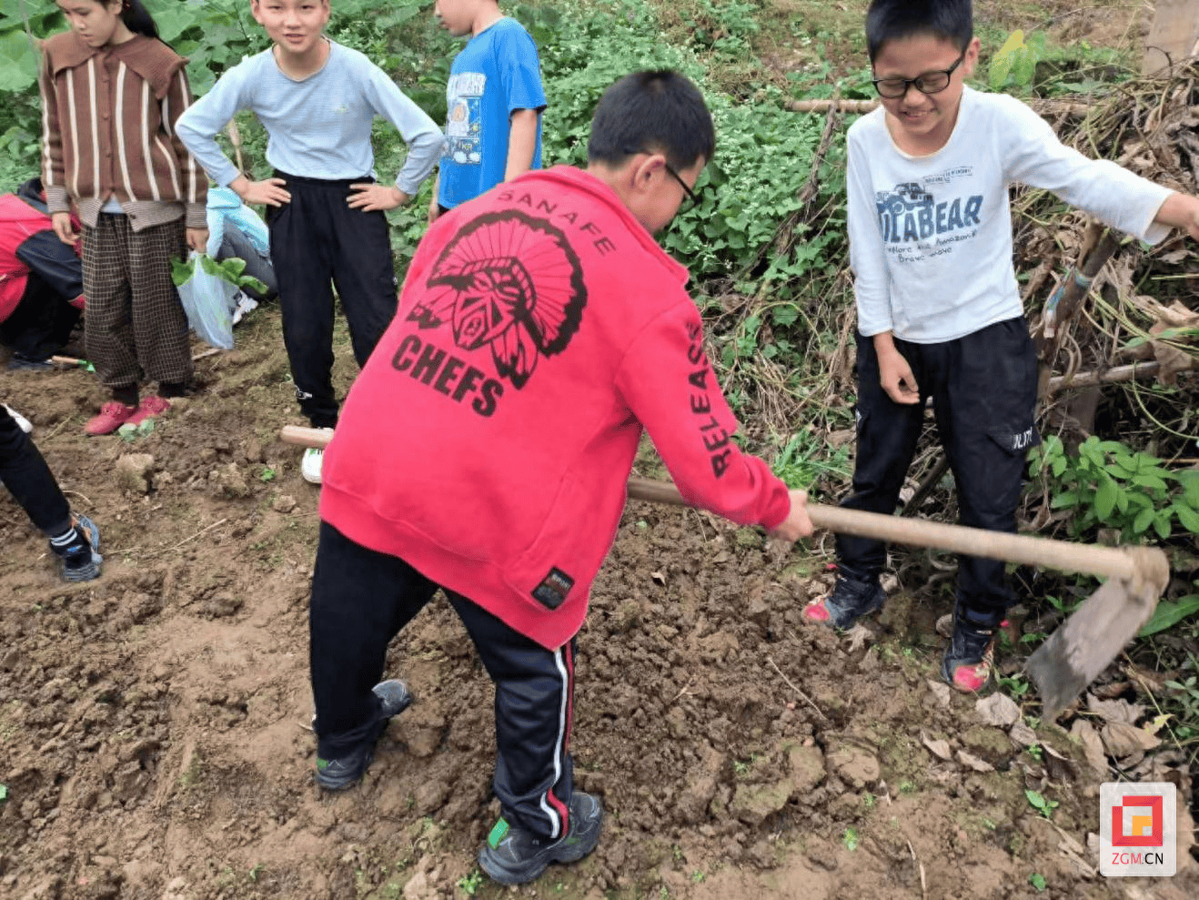 沿滩区:黄坡岭村关工委组织学生开展种植实践活动