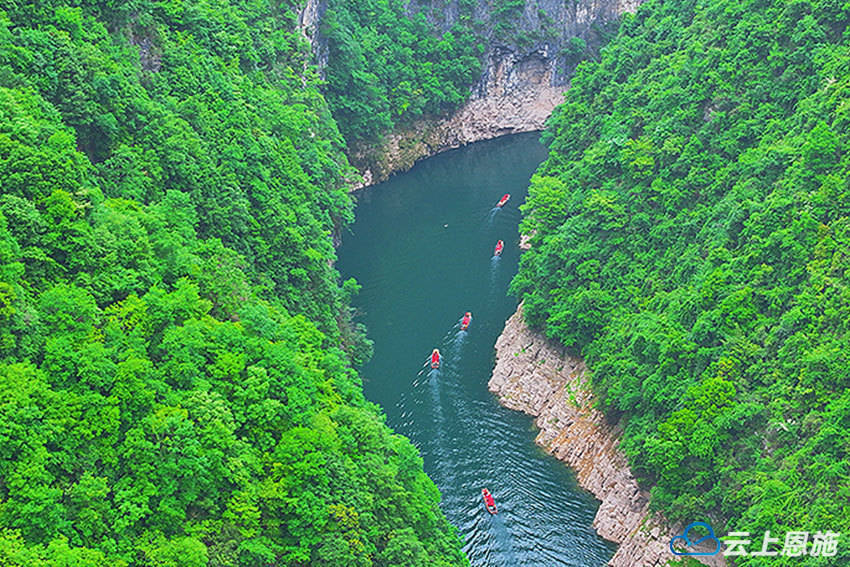 天热了,巴东文旅市场更热……_神农溪_游客_旅游