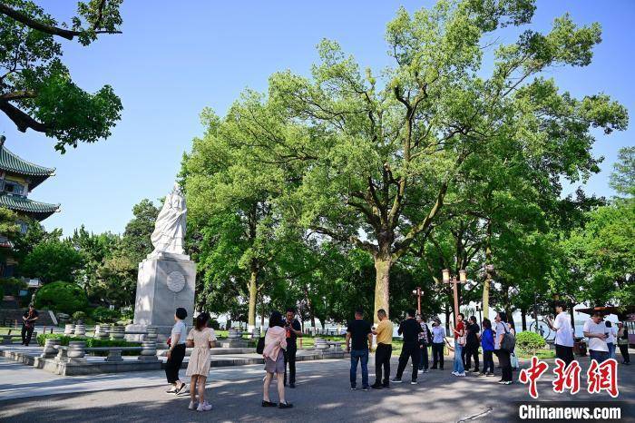 光明日报:澳门平特一肖免费资料大全-城市：上海国际电影节明天拉开大幕 ！赴光影之约，赏城市之美  第7张