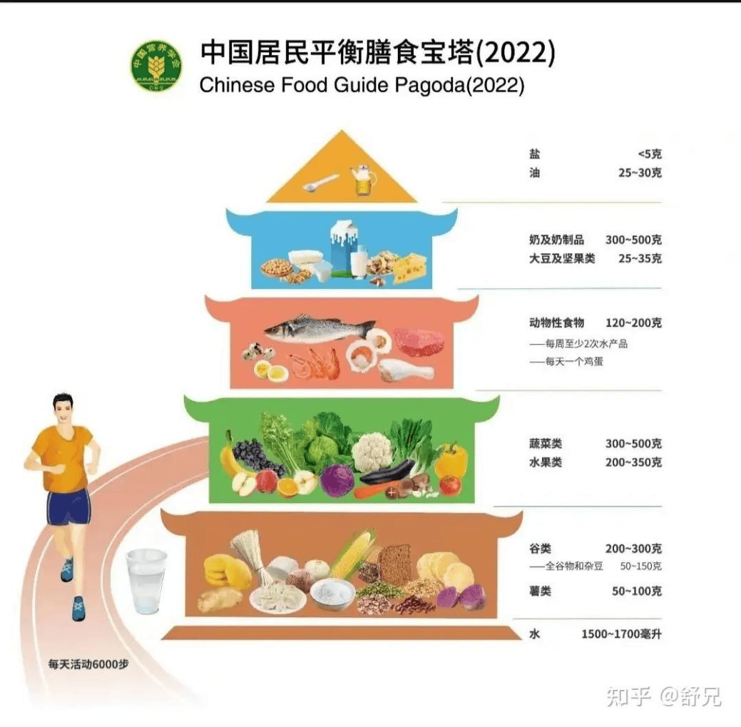 人体三大营养素比例图片