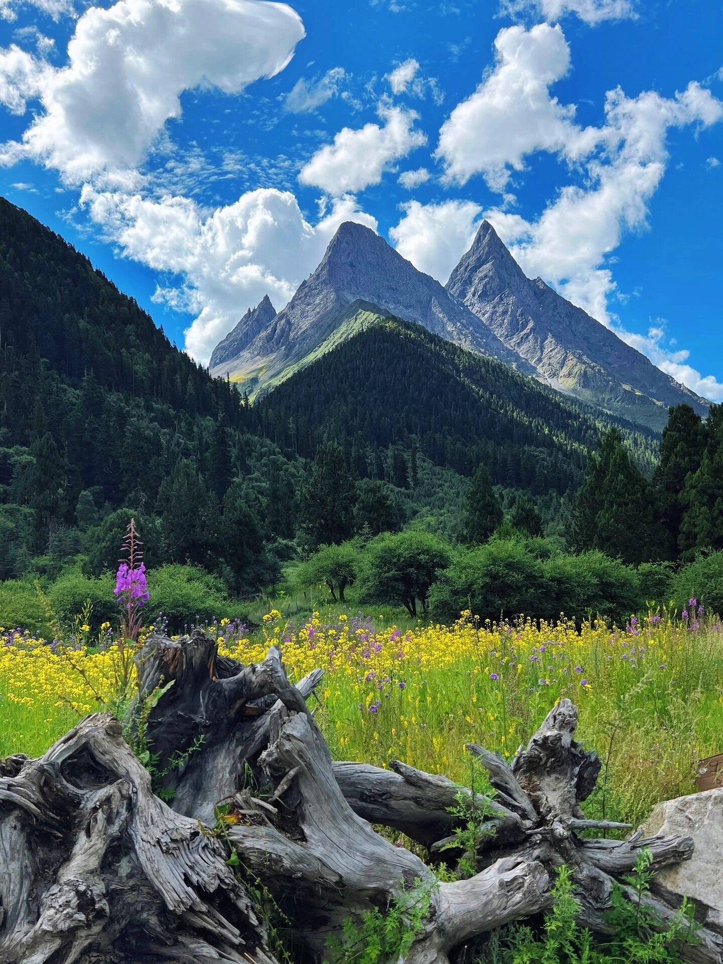白山去成都旅游报团价格,团费多少 ,超有用的旅游指南建议
