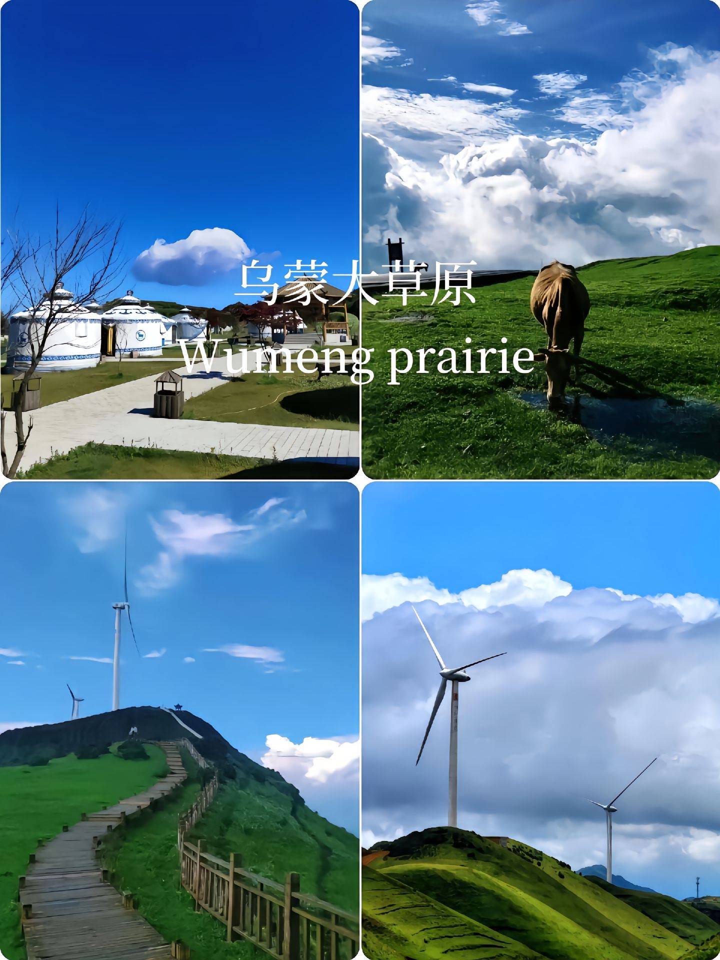 贵州的知名景点如黄果树瀑布,荔波小七孔,西江千户苗寨等,门票价格