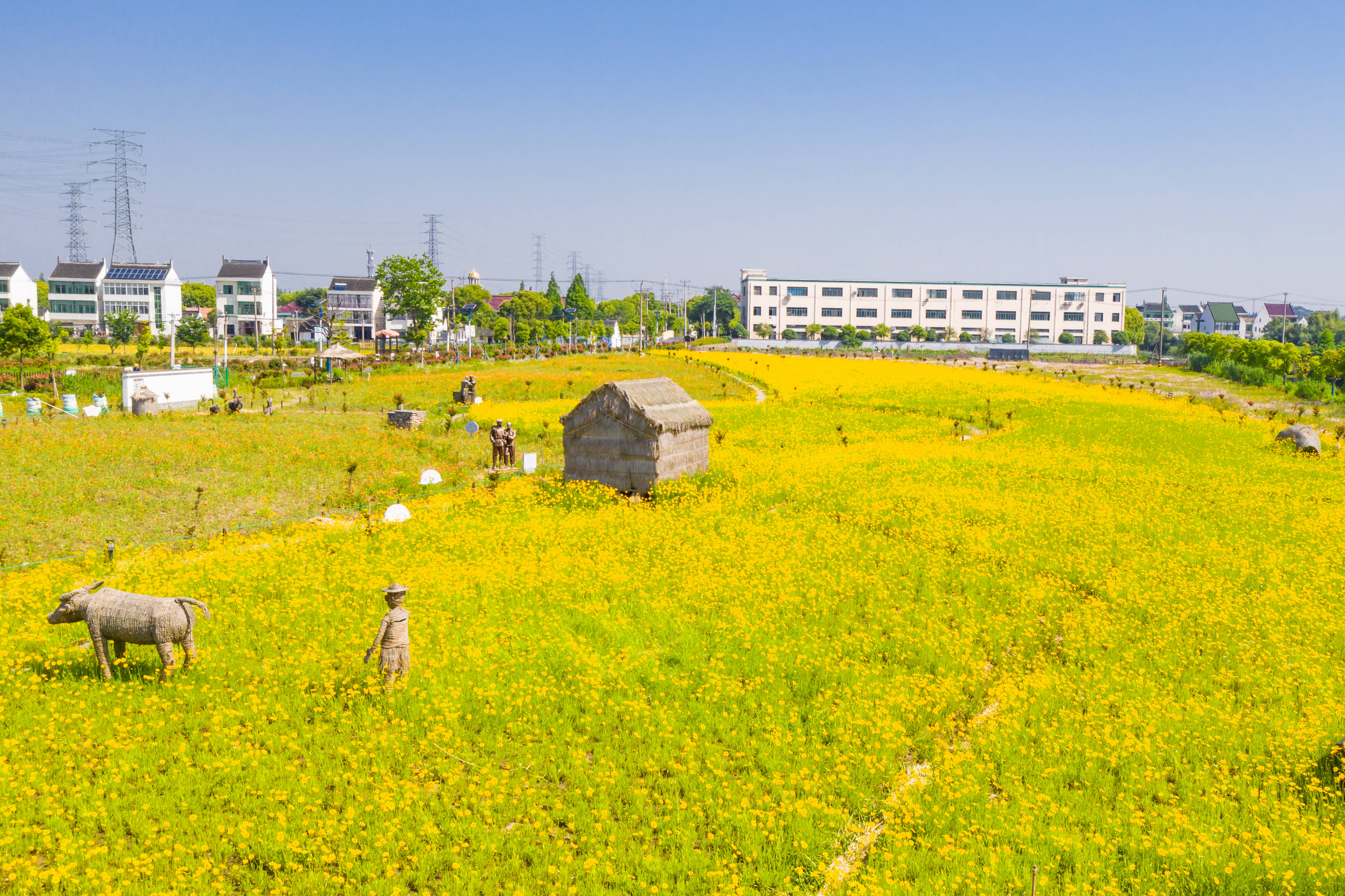 金山花海小镇图片