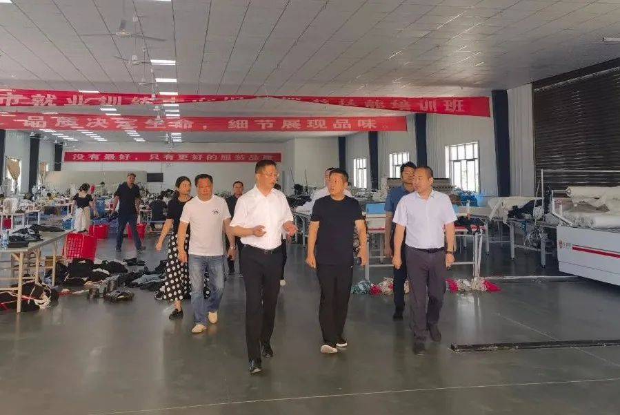 不断丰富代表活动形式 推进代表行动走深走实——金茂清到浩口镇参加"